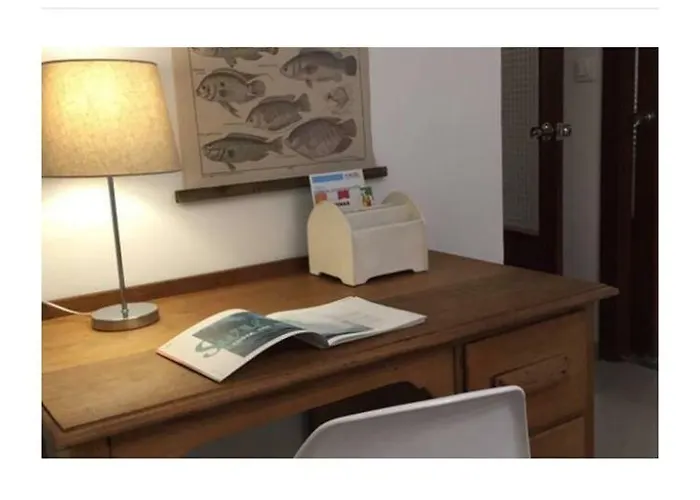 Turistico En Pleno Centro De Daire *